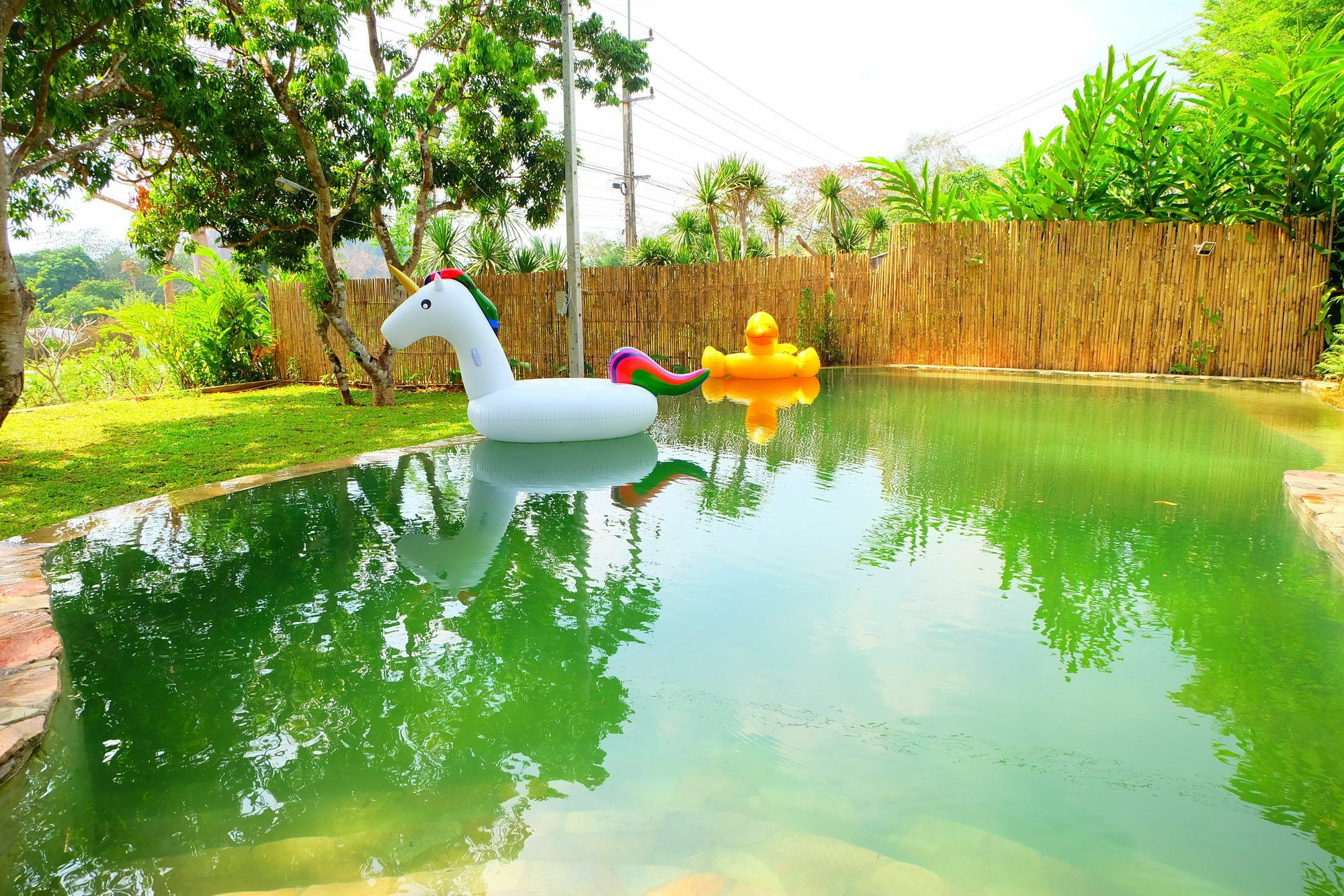 In My Dream Resort Ban Huai Maenam Noi Zewnętrze zdjęcie