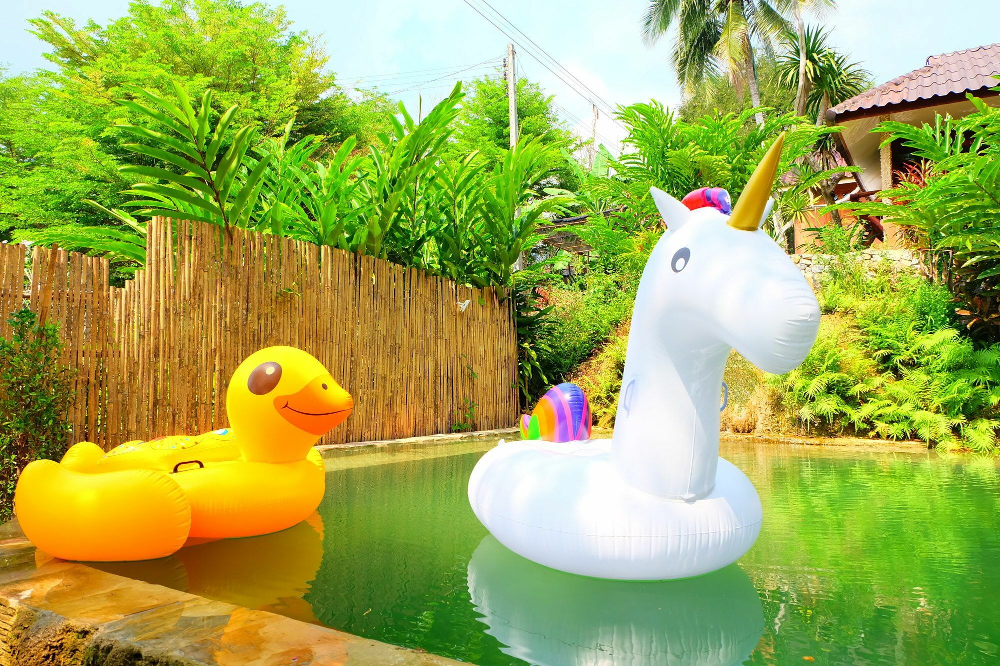 In My Dream Resort Ban Huai Maenam Noi Zewnętrze zdjęcie
